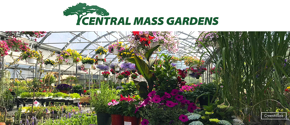 Central Mass Gardens MA.